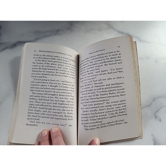 James Budd #1: The Mystery of the Madman at Cornwall Crag, Dale Carlson, 1984 - Picture 7 of 10